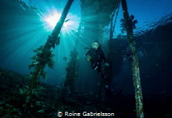 My 12-year old daughter diving Raja Ampat! by Roine Gabrielsson 